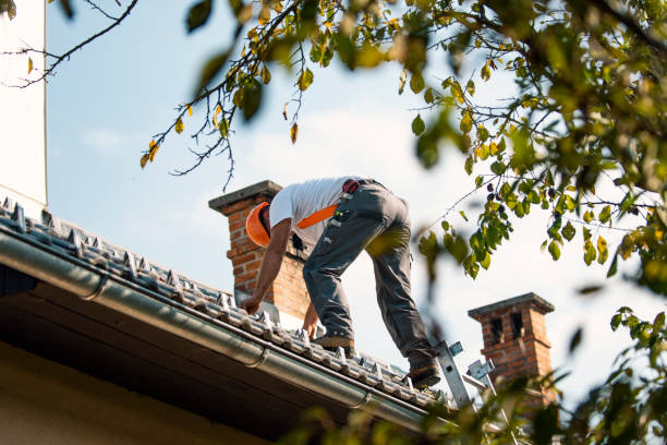 Best Roof Gutter Cleaning  in Westfield, WI